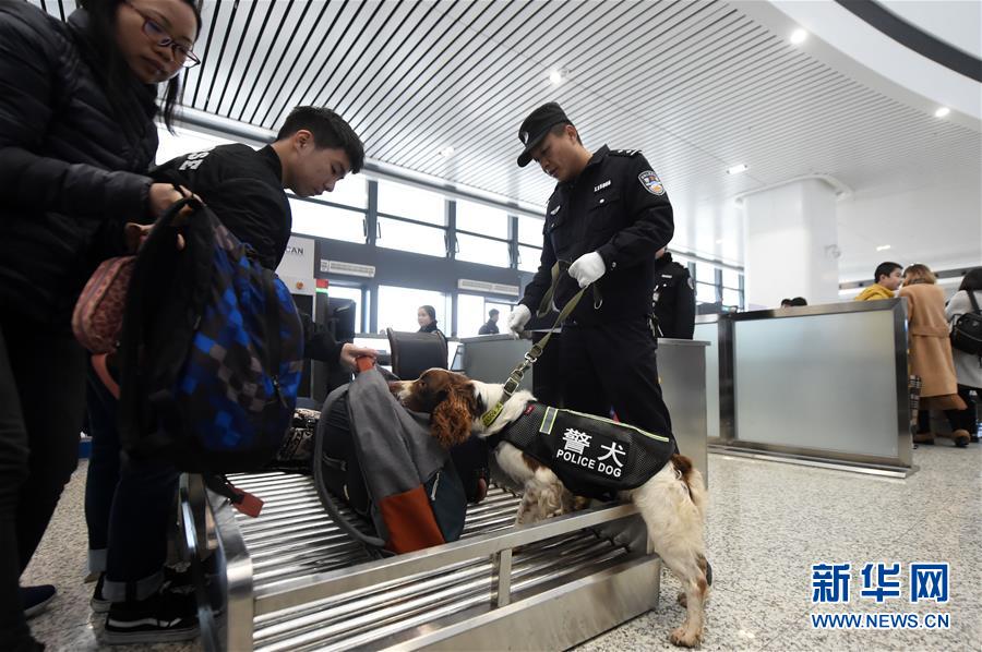 （關(guān)注春運(yùn)）（2）重慶：警犬助陣保平安