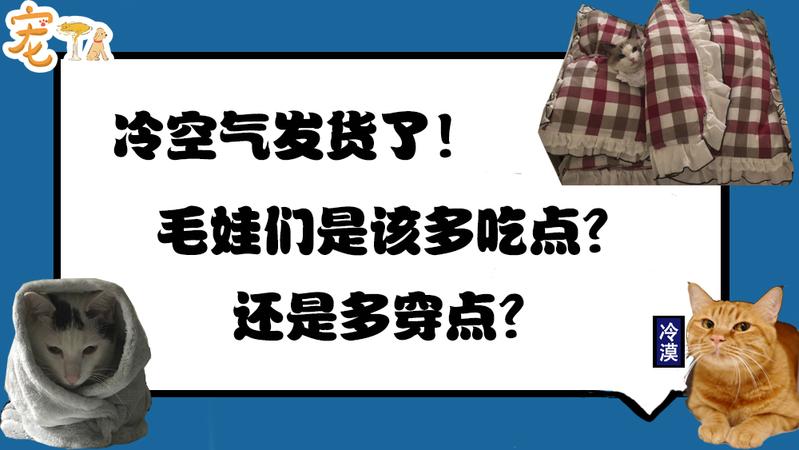 冷空氣發(fā)貨了！毛娃們是該多吃點還是多穿點？