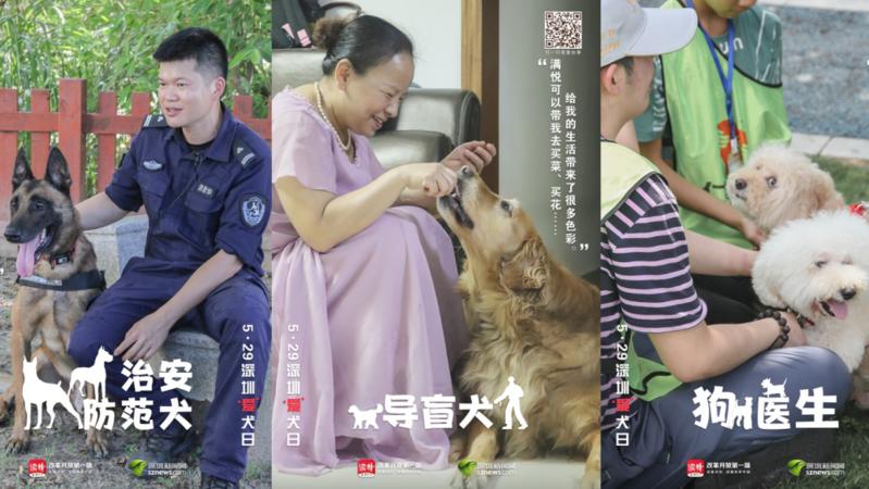 寵TA丨警犬、導(dǎo)盲犬……今天，他們值得被關(guān)注