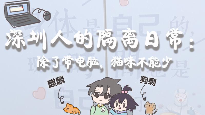 寵TA丨深圳人的隔離日常：除了帶電腦，貓咪不能少