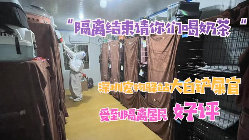 寵TA丨“隔離結(jié)束請你們喝奶茶！“ 大白鏟屎官受隔離居民好評